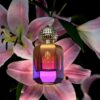 Parfums dElmar Kaya 04 web scaled